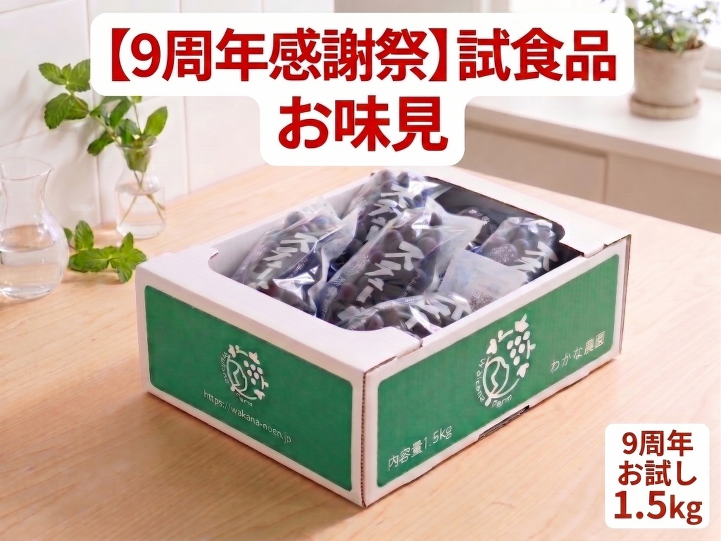 9周年感謝祭】まずはお試し！当園自慢の看板ぶどう 試食品（SSサイズ