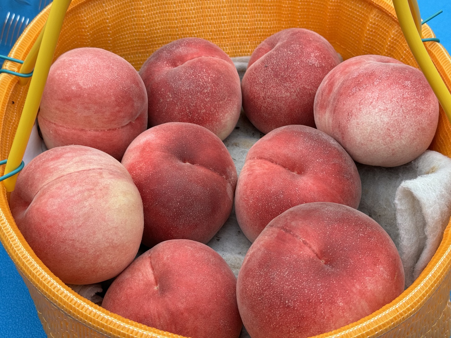クール便】桃【品種おまかせ】最後まで硬め 2kg：山梨県産の品種