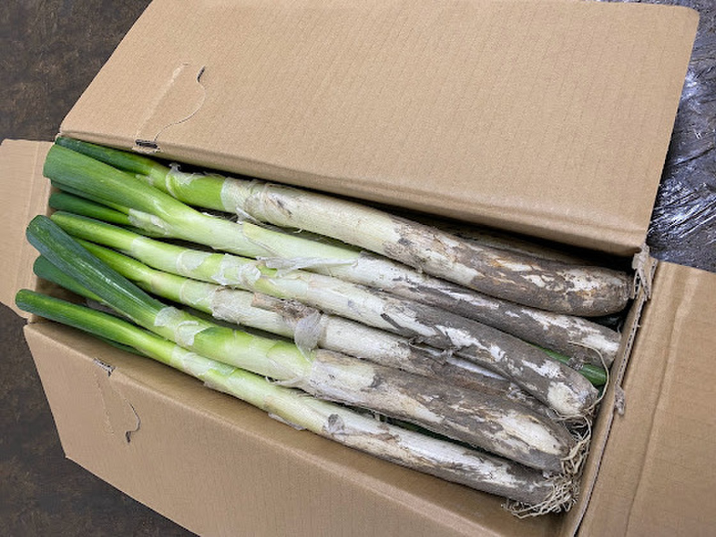 冬ギフト】深谷ネギ 5.0kg 泥付き 甘〜い 今が旬！：埼玉県産の
