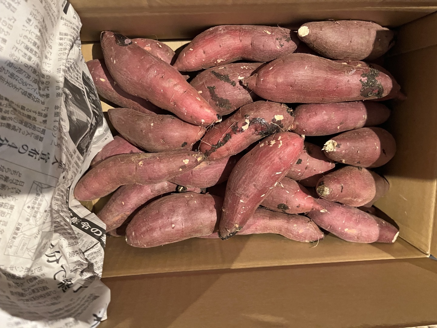 ねっとり甘い！熟成紅はるか Sサイズ 5kg さつまいも：茨城県産