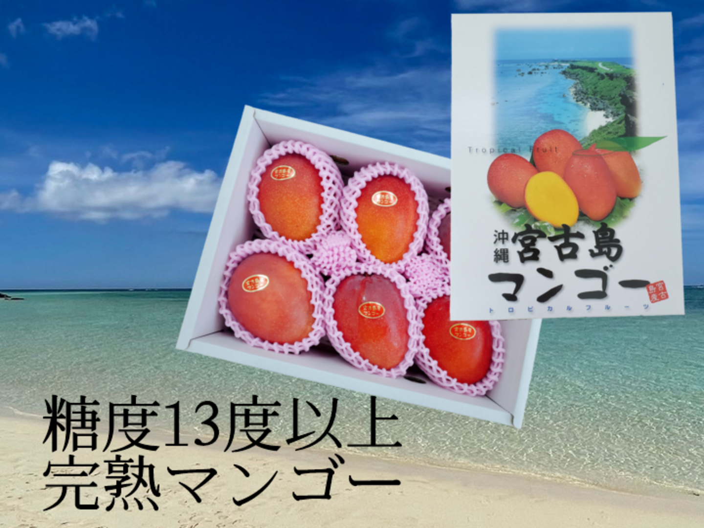 【つば様さん専用】贈答用1kg 宮古島産マンゴー 贈答用 1kg】宮古島マンゴー【送料込】 | 宮古島マンゴーの