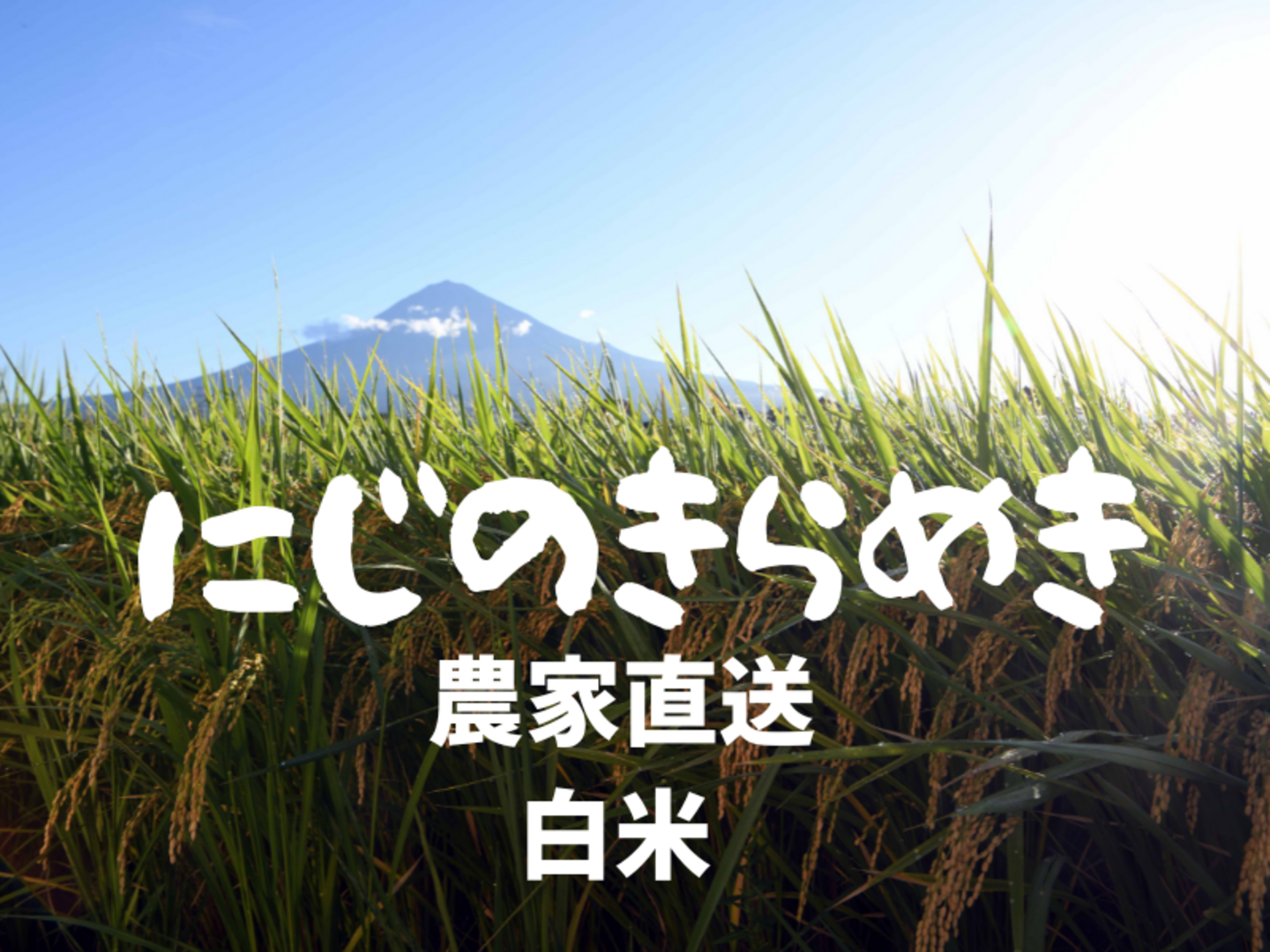 令和7年産 にじのきらめき 静岡産 白米 20kg ふっくら炊き上がり