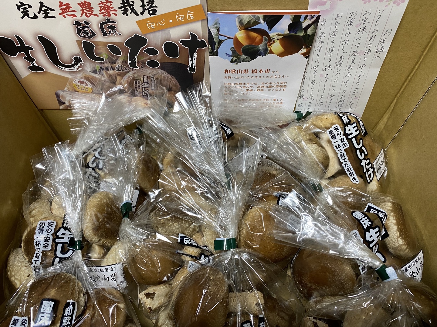 2㎏まとめ買い！肉厚ボリュームの菌床生しいたけ（2