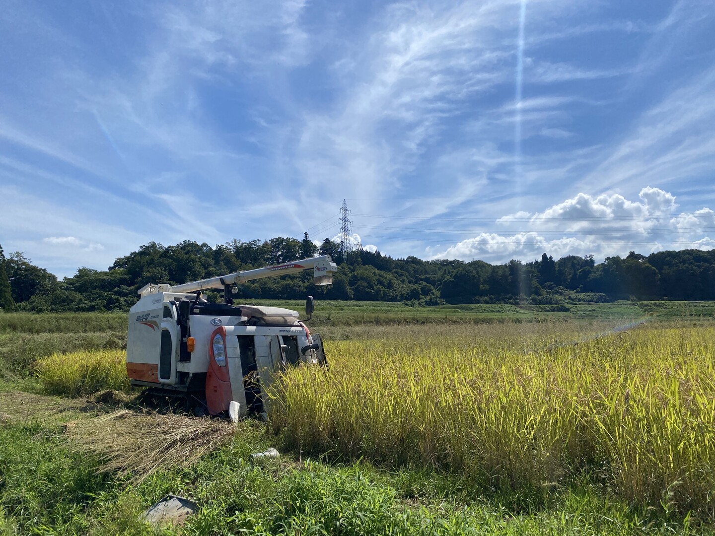 R8年産 新米】農薬不使用・自然栽培米コシヒカリ（白米）5kg：富山県産