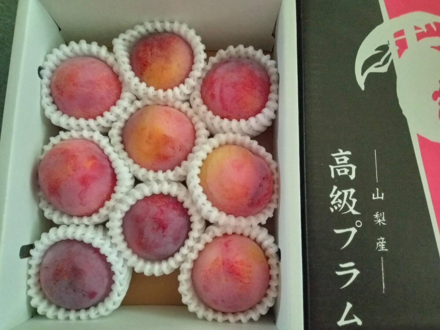 訳あり】本当に美味しい！！上品な甘さと酸味！プラム「貴陽」化粧箱