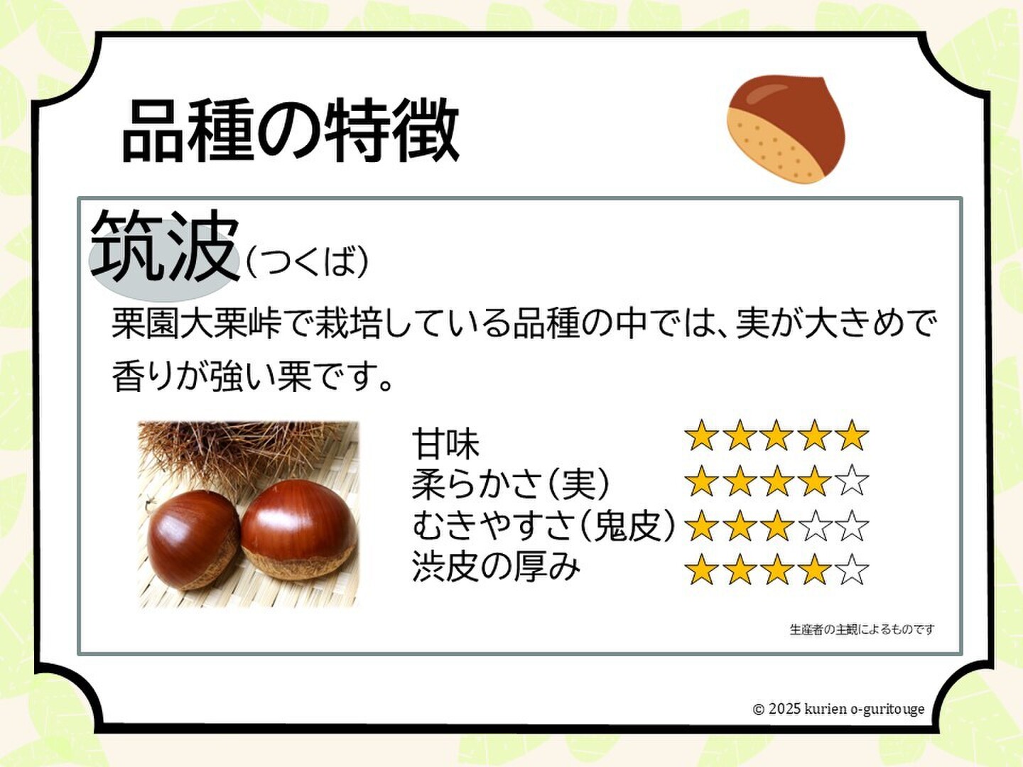 丹波くり 晩生 「筑波」 希少4Lサイズ 約1kg（本州のみ）④：京都府産