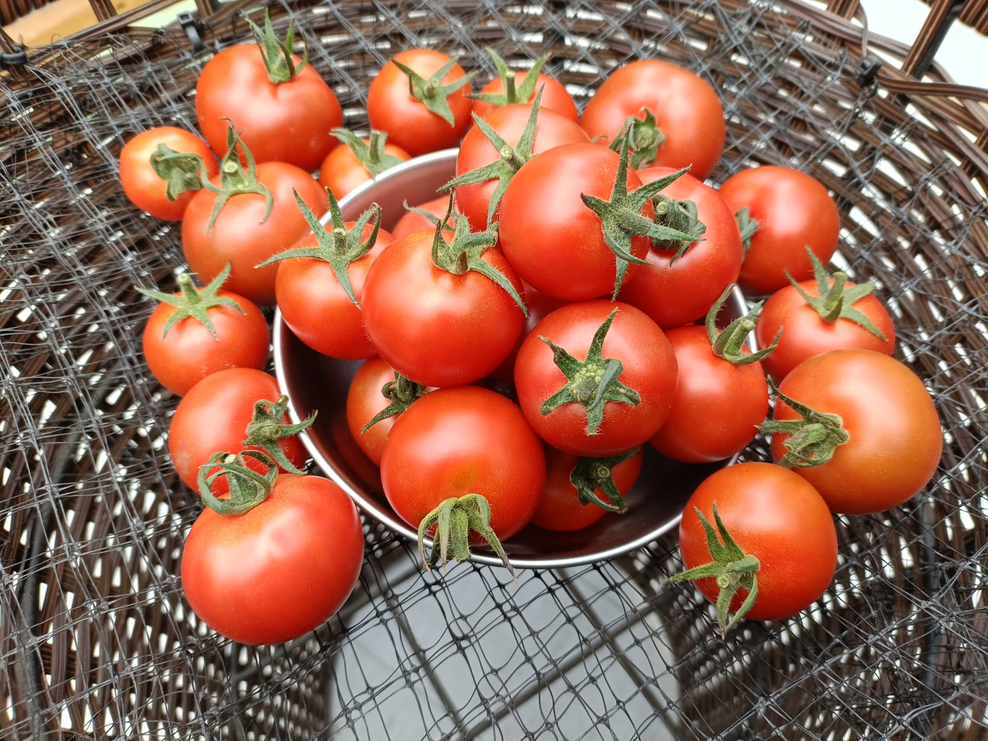 甘〜い　フルティカトマト　限定9箱　05 クボタファーム 糸満産 フルティカトマト 約 1.2kg ( 150g × 8p