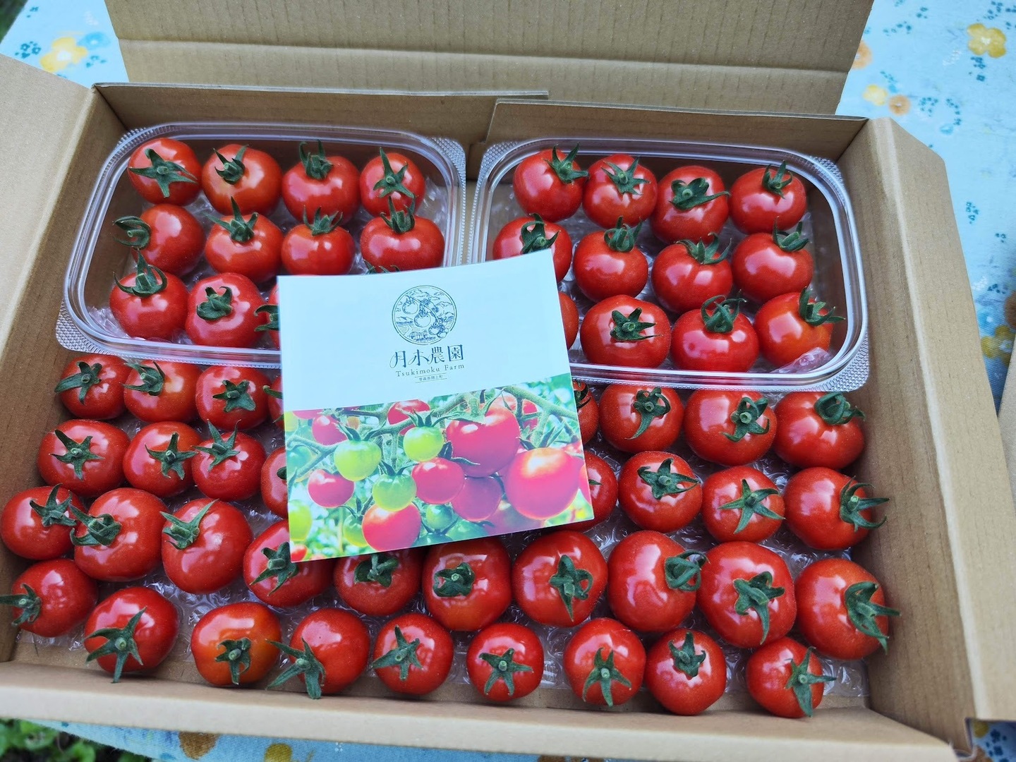 ミニトマト　プチぷよ　お買い得約1.4kg入り 野菜の宝石！【プチぷよとまと】（850g×2箱）1,7キロ：青森県産