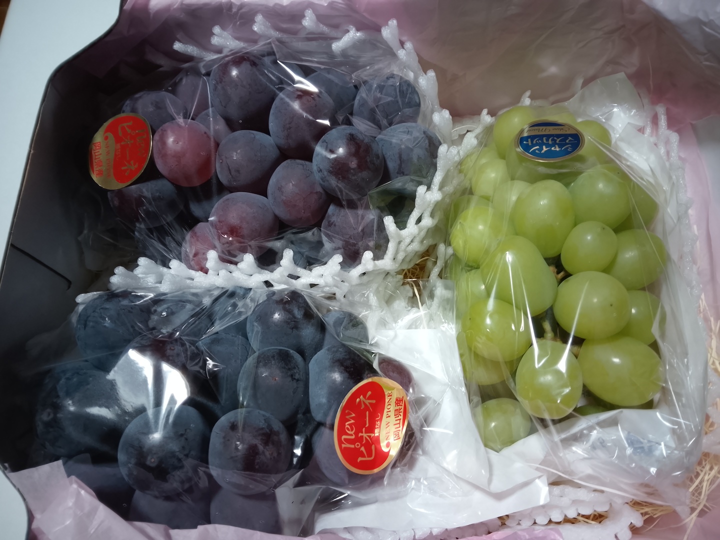 2027年予約】食べ比べ🍇岡山県産シャインマスカット＆ニューピオーネ