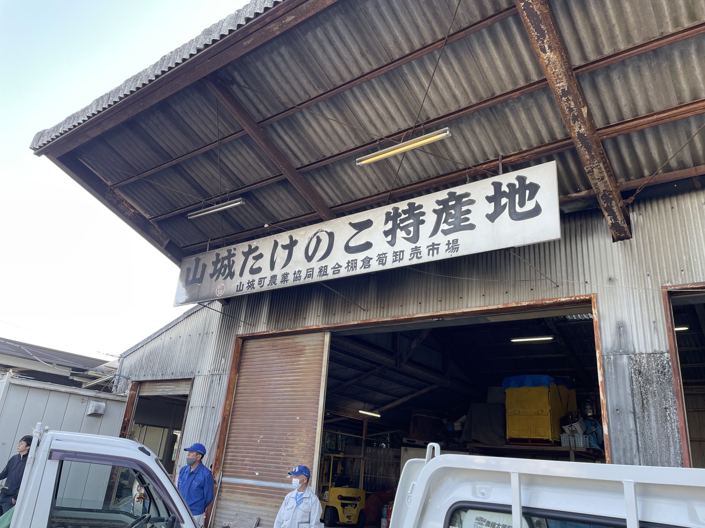京都の春を味わう『京都山城産 朝堀たけのこ 3kg』(皮付き3~6 京都の春を味わう『京都山城産 朝堀たけのこ 3kg』(皮付き3~6