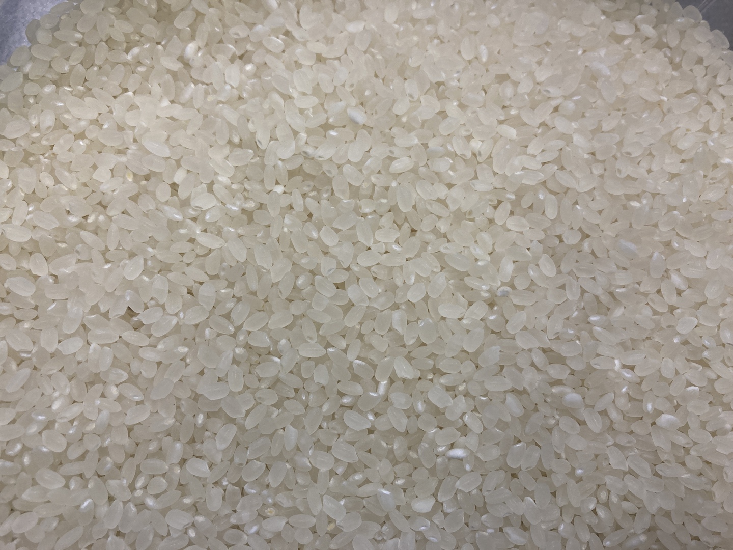 米　白米【令和6年産岩手県産ひとめぼれ10kg】 10kg×1 モチモチ柔らか！ 楽天市場】送料無料 岩手県 令和6年産 ひとめぼれ10kg 米 白米