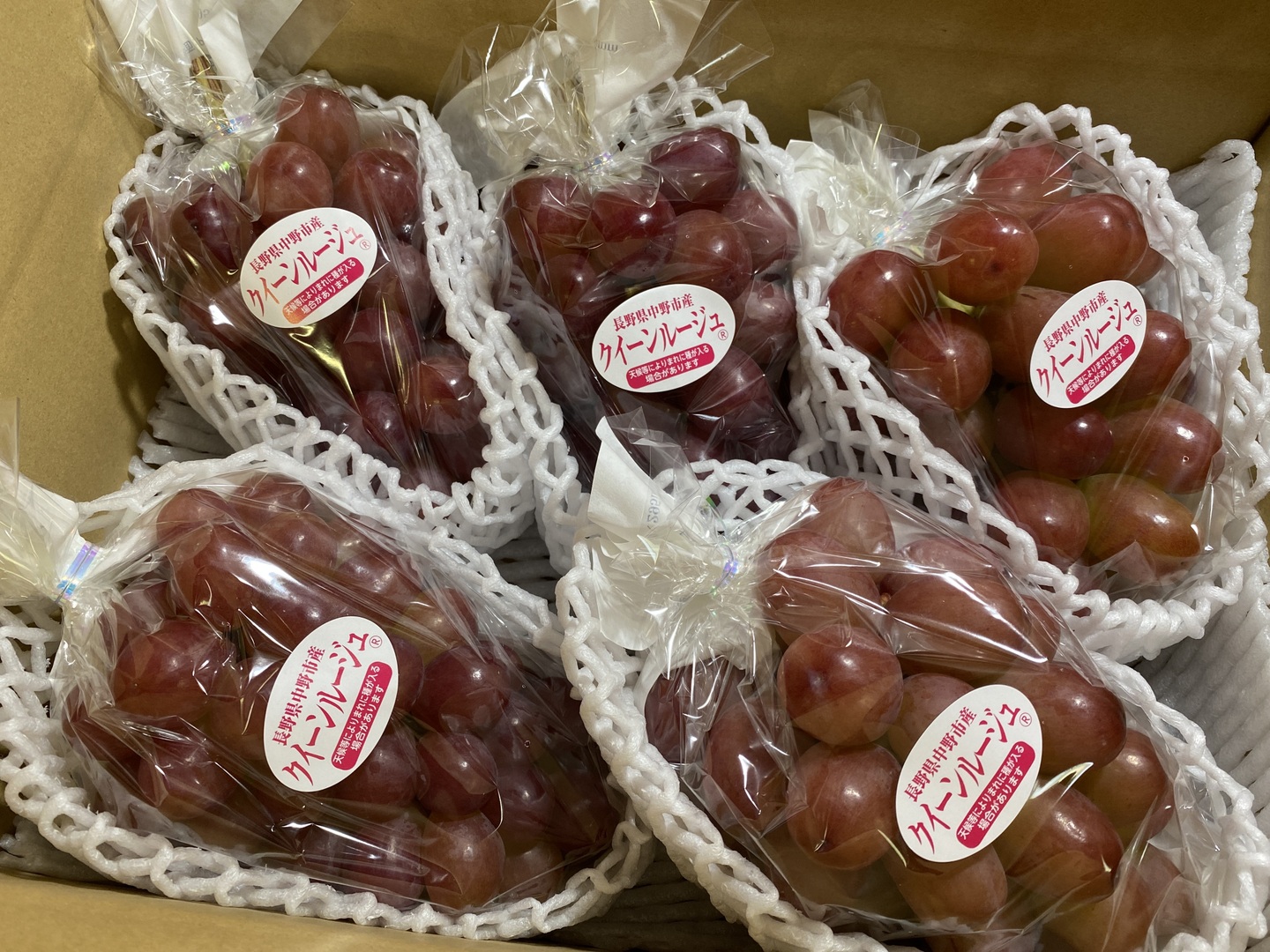 パパ【長野県産︎︎⟡限定品】贈答用 クイーンルージュ3kg 家庭用】クイーンルージュ約3kg(5〜8房)☆長野県限定品種☆発送9月中旬