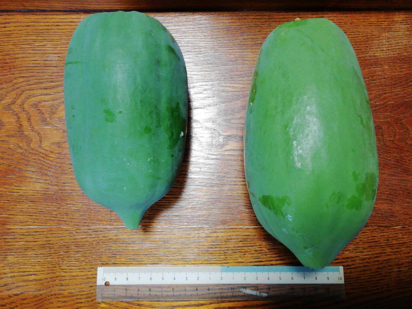 青パパイヤ 2～3個【あわせ買い可】【農薬・化学肥料不使用】【熨斗