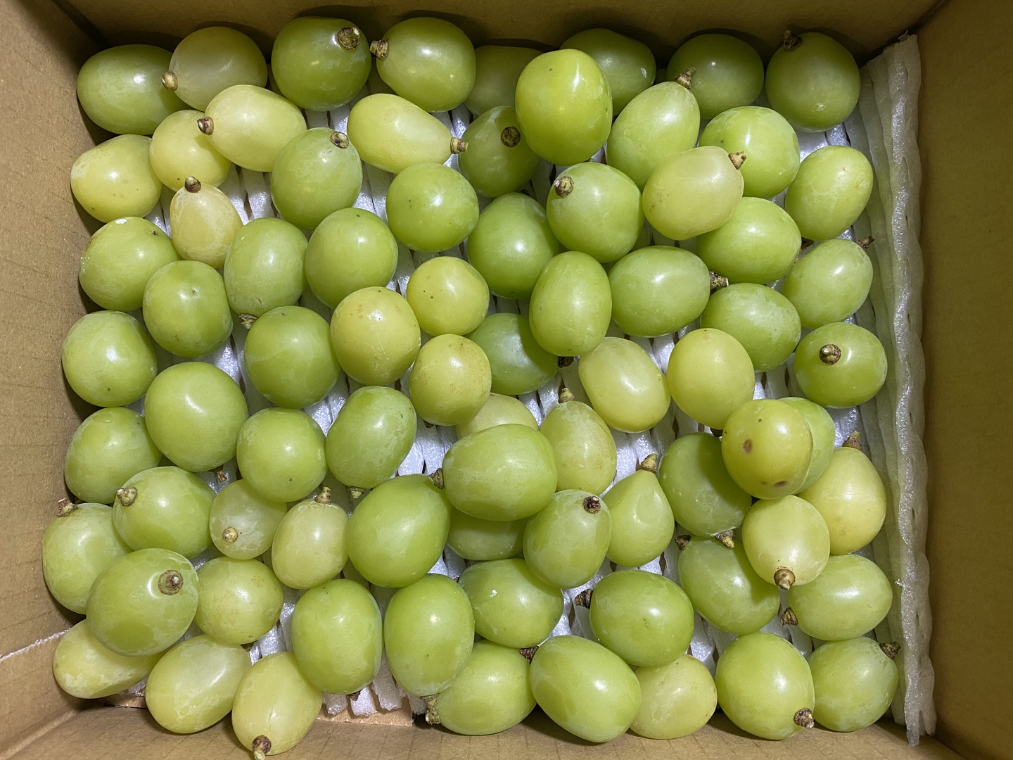 粒売り】シャインマスカット2kg☆長野県産：長野県産のシャイン