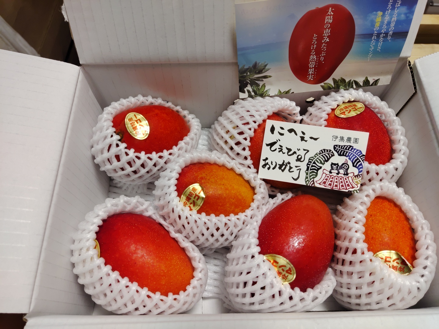 予約】【6月発送】【訳アリ品！！】沖縄県産マンゴー2キロ（3～8