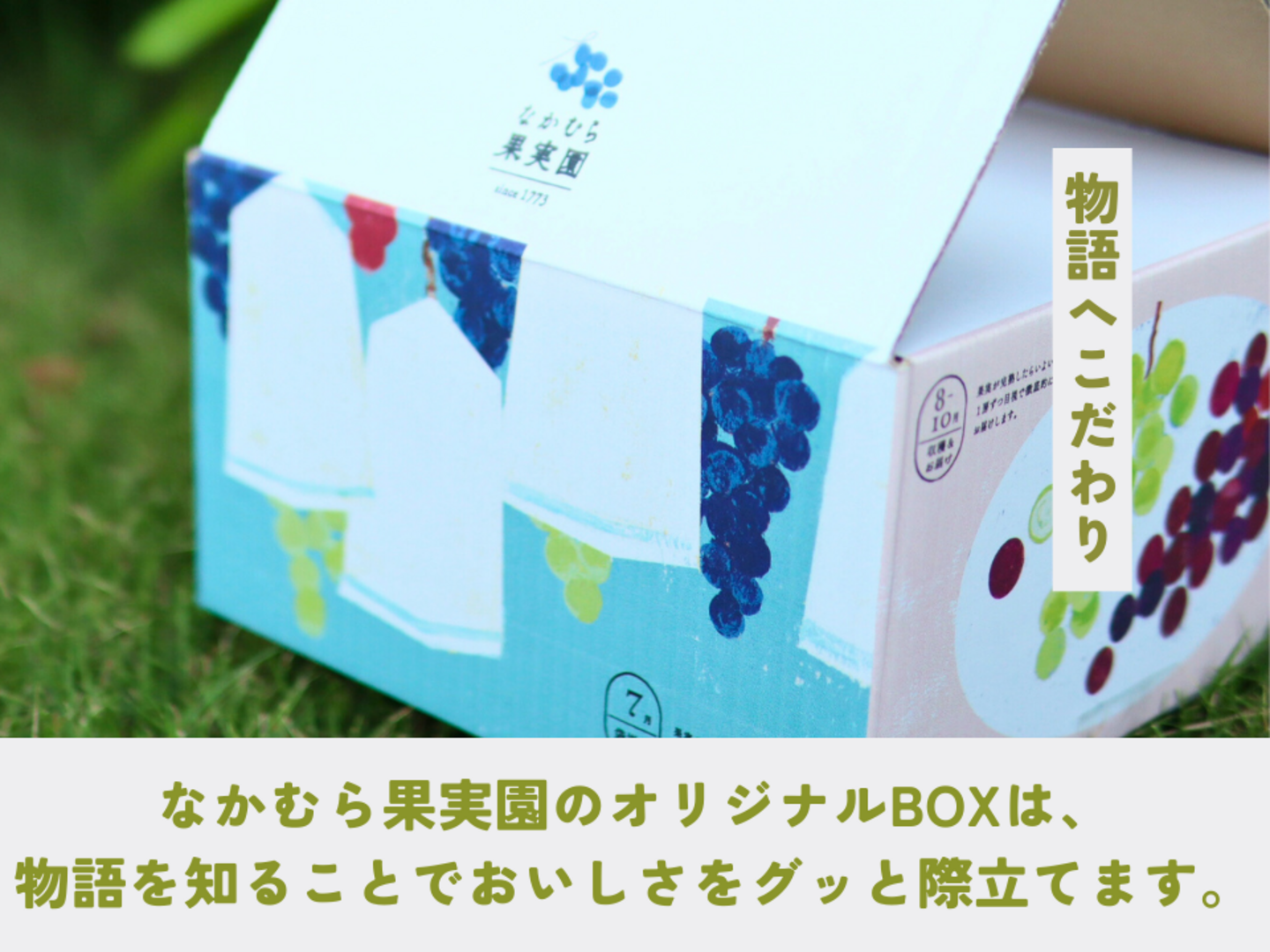 長野県産品　シャインマスカット　約4kg分   【クール便対応】 長野県産シャインマスカット4房(2.6kg以上) | 長野県中野市