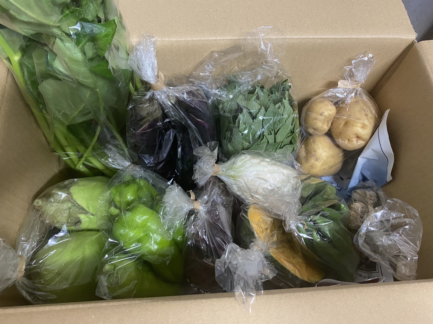 Lサイズ ＊旬野菜セット(約10~11品)【農薬：栽培期間中不使用