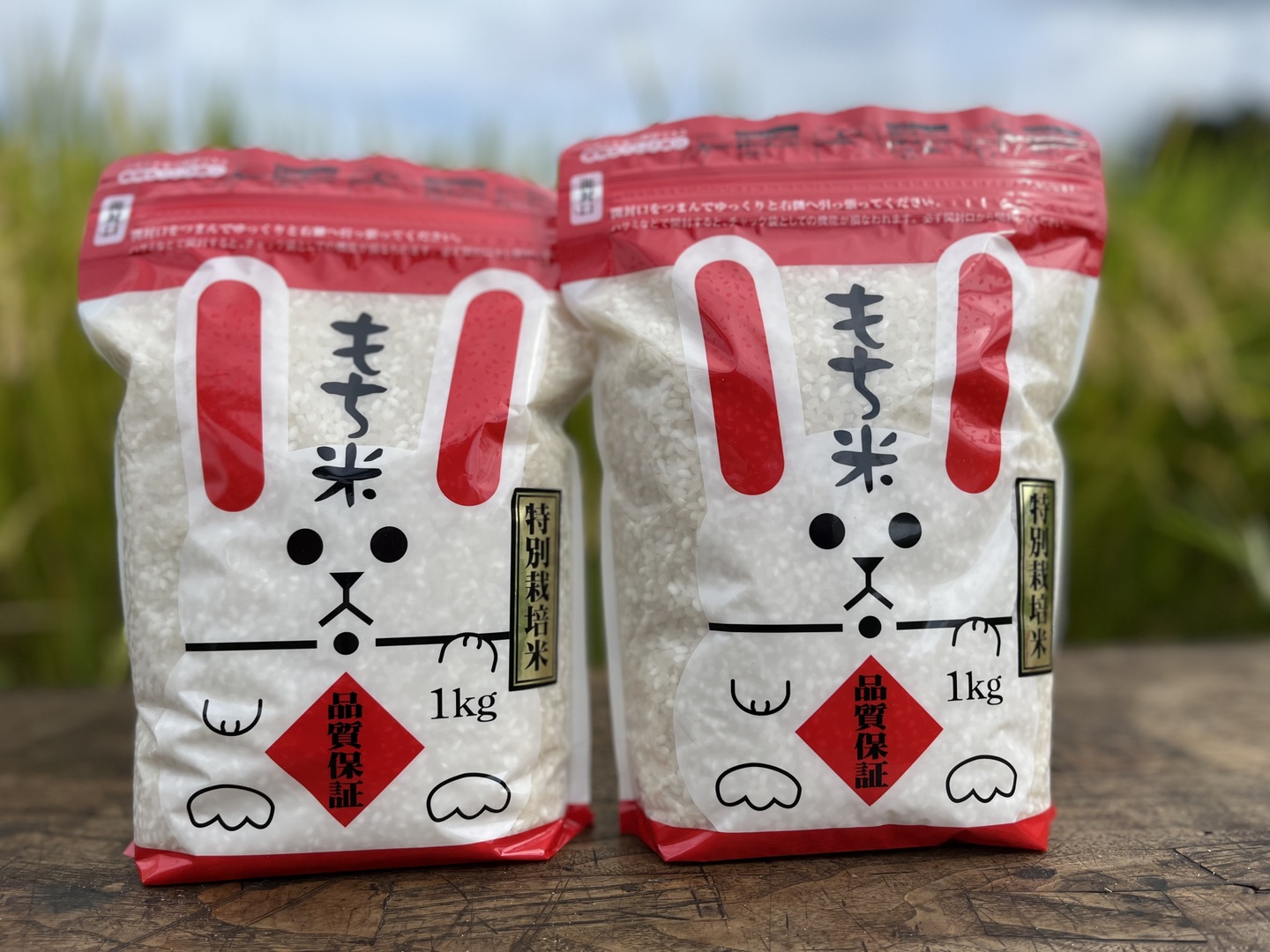 令和6年産】特別栽培米 もち米 1㎏×2袋 こゆきもち：山形県産の