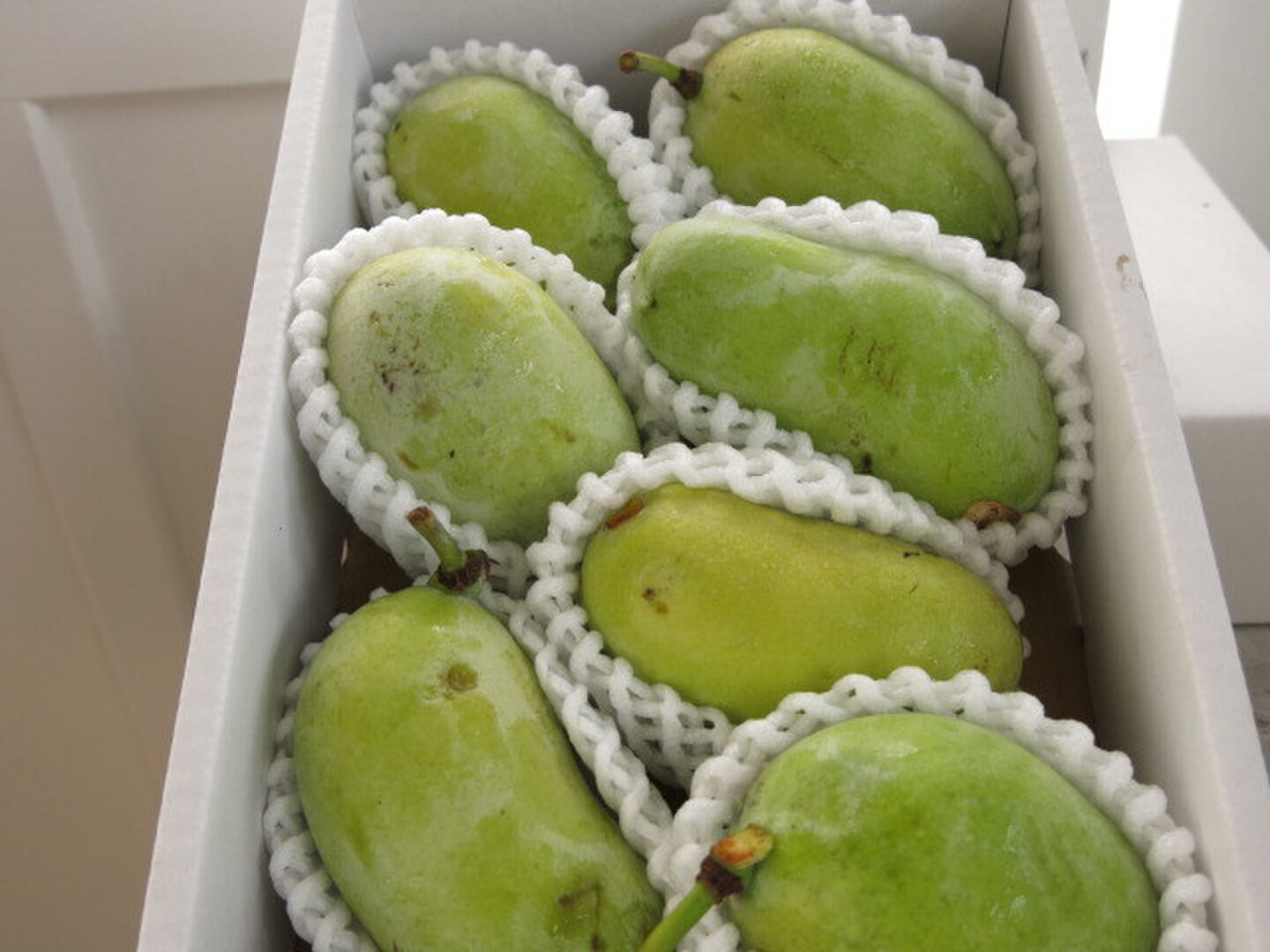 幻のポポー 約900g(8〜10個)：山形県産のその他果物｜食べ