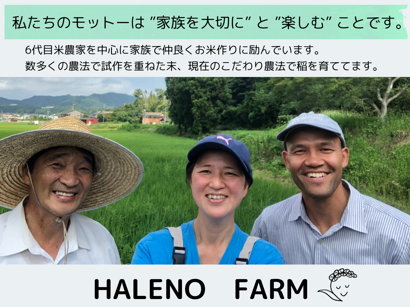 特Aクラス R6新米 きぬむすめ 10kg 令和6年 岡山県産 きぬむすめ 無洗米 10kg (5kg×2個) お米 特A