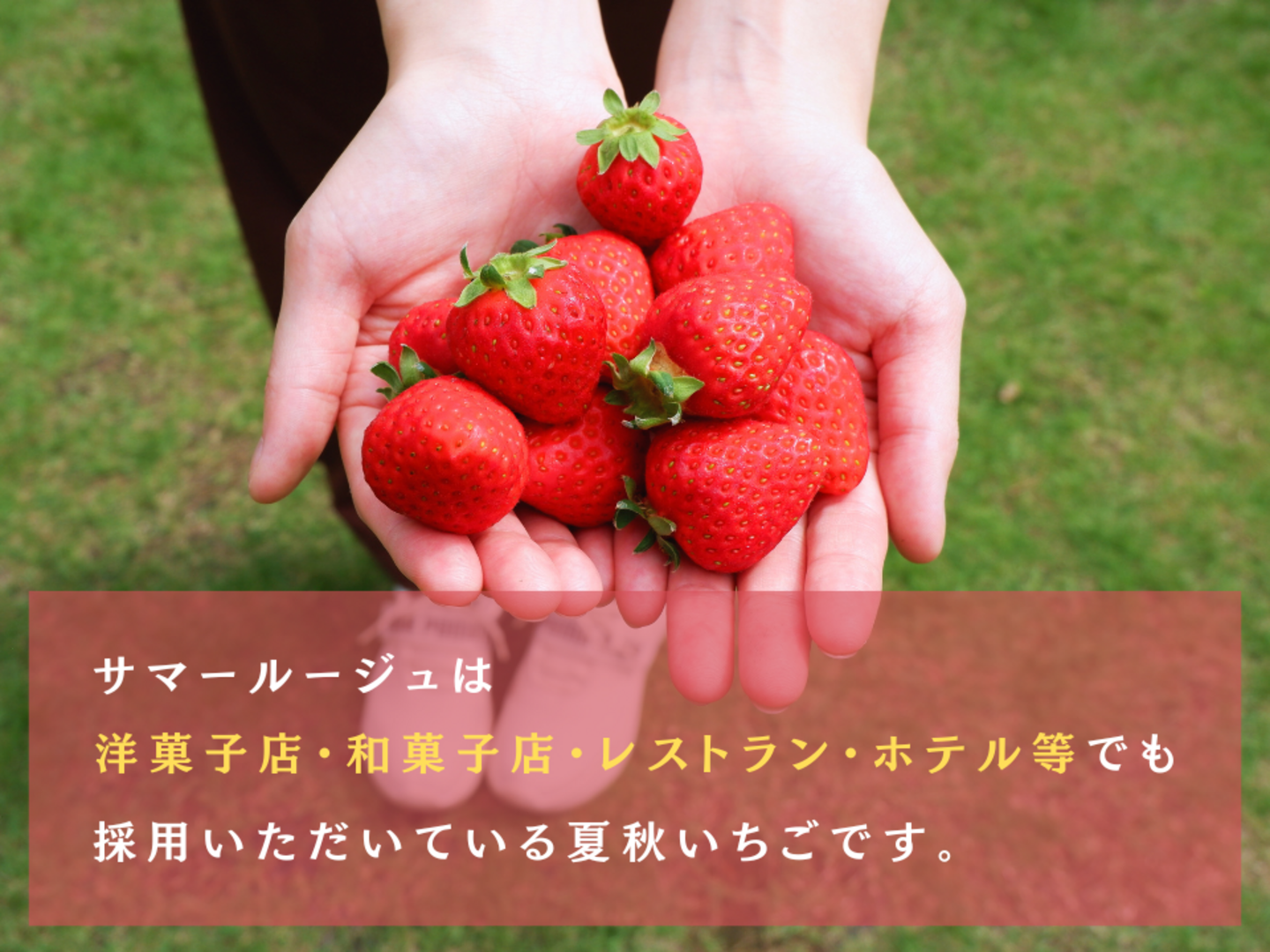 芹沢銈介 額絵「ようこそ ようこそ」肉筆（103回】芹沢銈介の絵