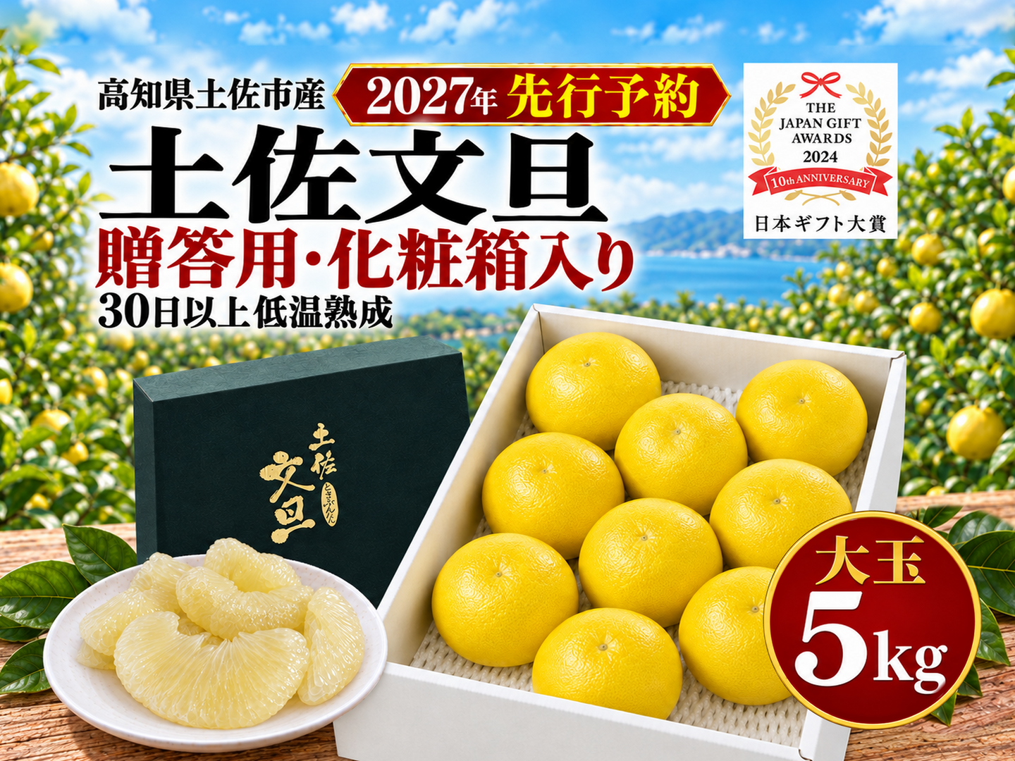 土佐文旦 贈答用 大玉5kg 化粧箱入り｜選び抜いた一箱｜約8～11玉