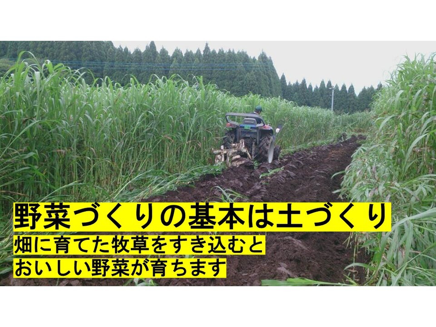 小澤農場～医食野菜～さま専用 大小混合ニシユタカ２０キロ② サクラ2.5の畑で「地元野菜を採って作って食べちゃおう