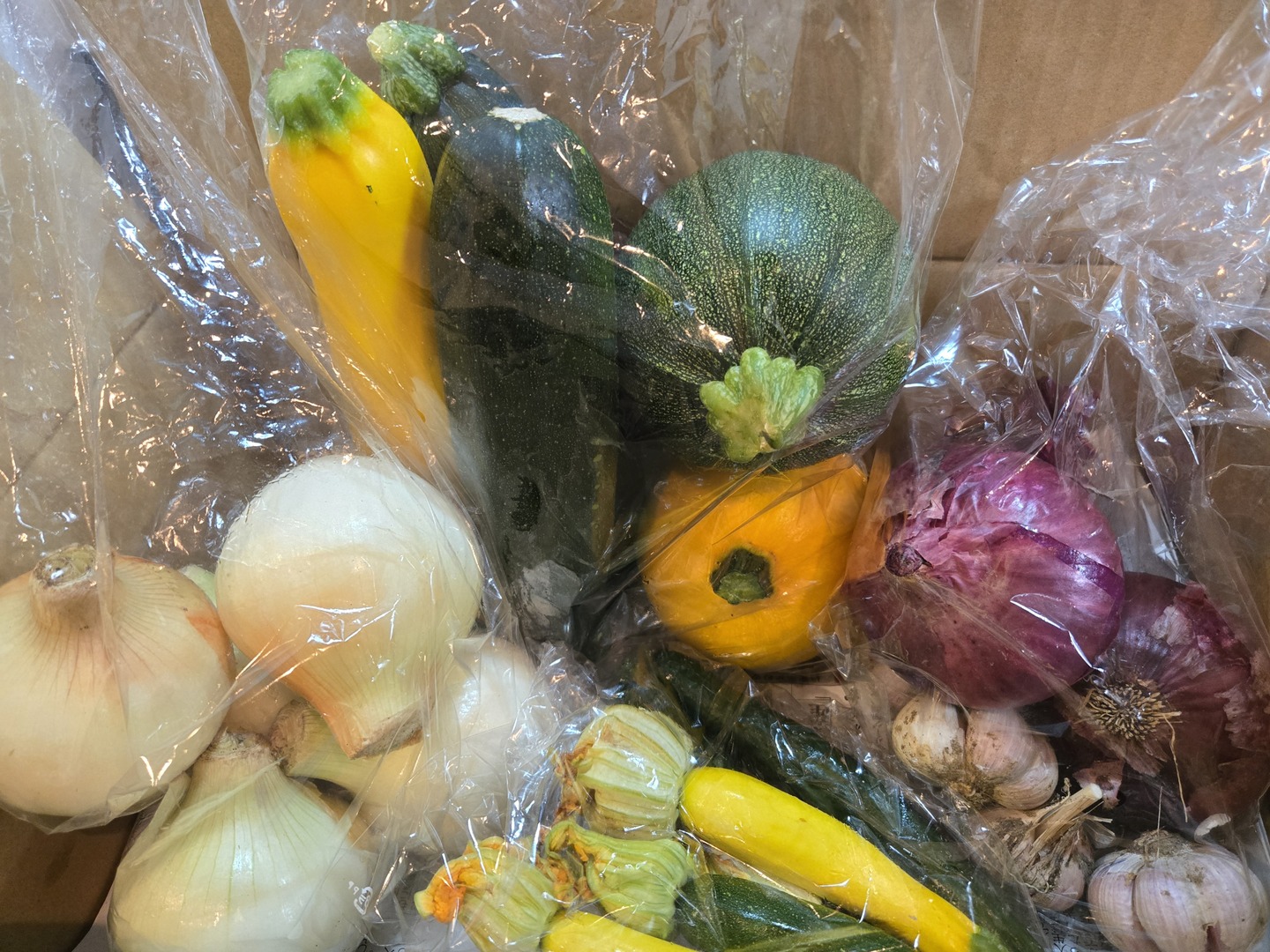 りんりん様野菜セット 果物追加 農薬化学肥料不使用】旬の野菜セット(80サイズ7-8品)：愛媛県産