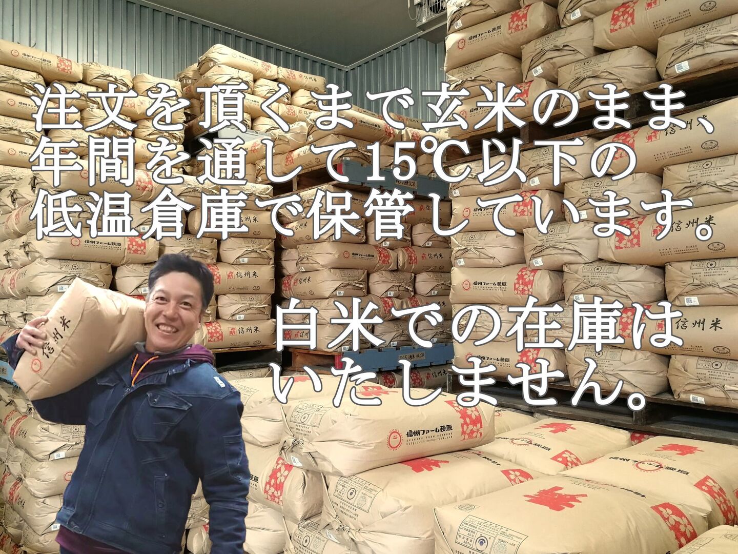 信州真田産 精米 10kg kane6design_jm100100