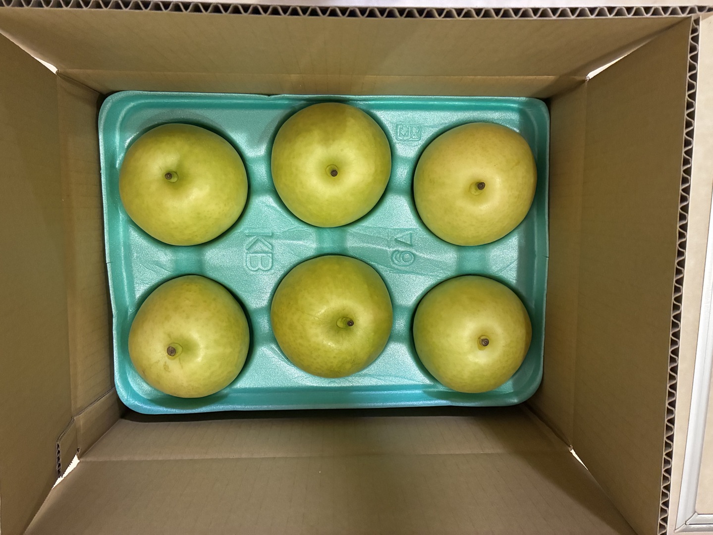 令和9年9月発送【予約】梨 二十世紀 良品 約3kg ‼️長野県産：長野県産