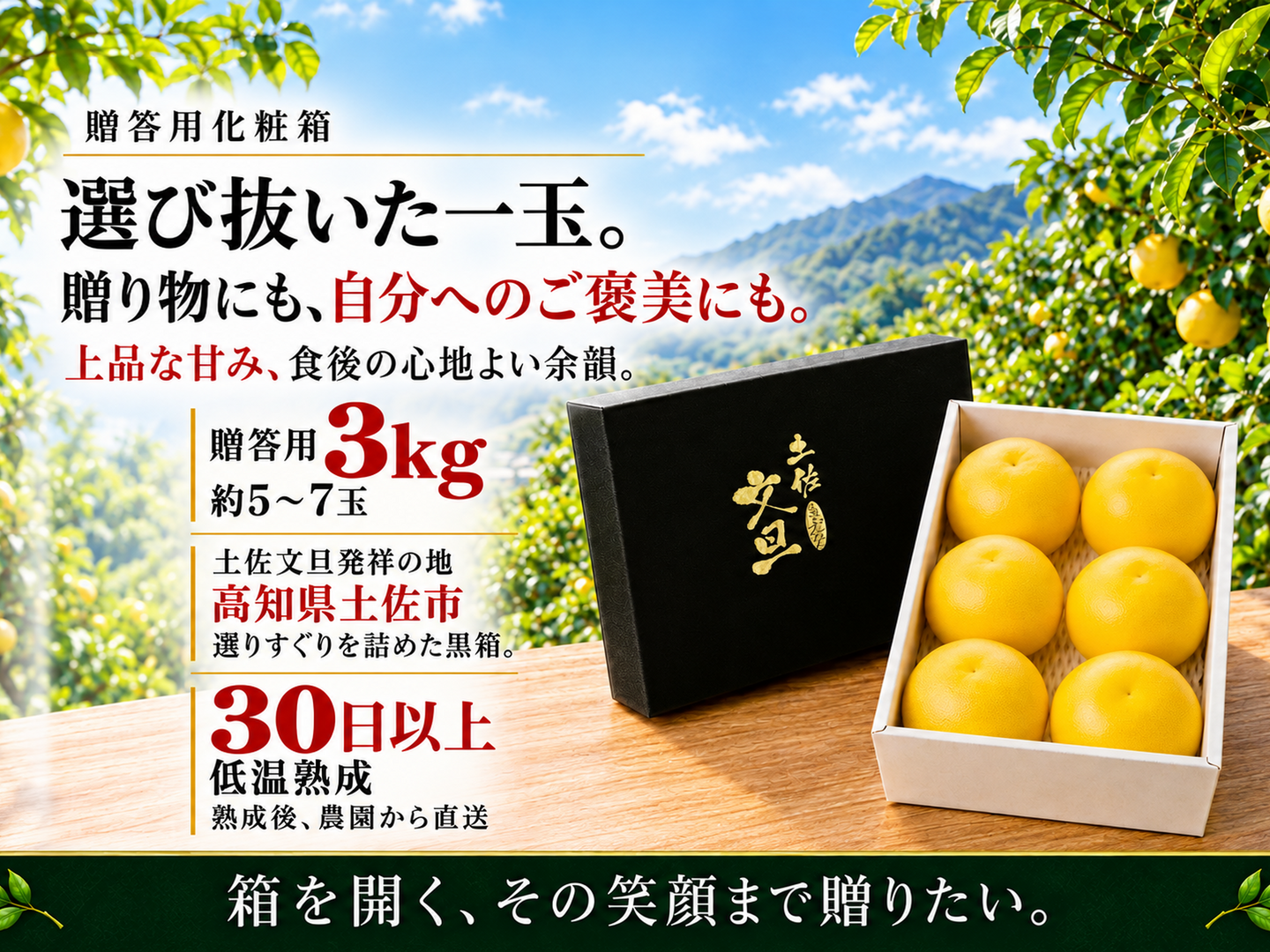土佐文旦 贈答用 大玉3kg 化粧箱入り｜選び抜いた一箱｜約5～7玉｜発祥