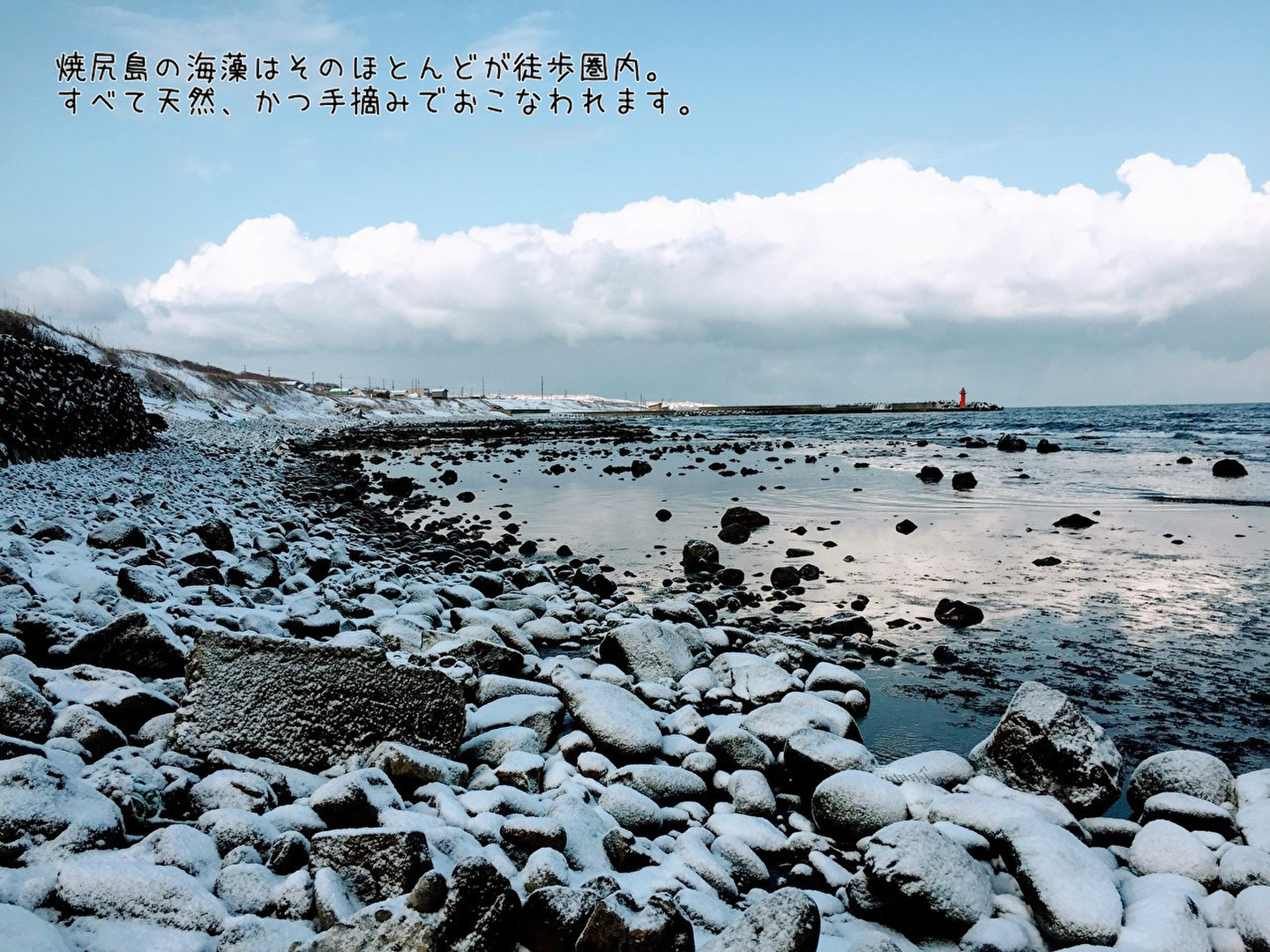 北海道利尻島島　岩海苔（初摘み　寒海苔）5枚入り×2袋 北海道利尻島産 岩海苔（初摘み 寒海苔）5枚入り×2袋