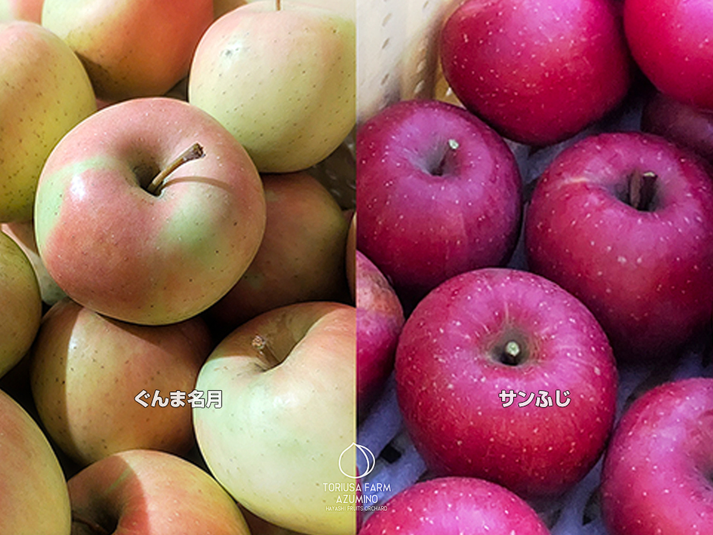 長野県安曇野市産 100％りんごジュース ぐんま名月&ふじ 1000ml 2本
