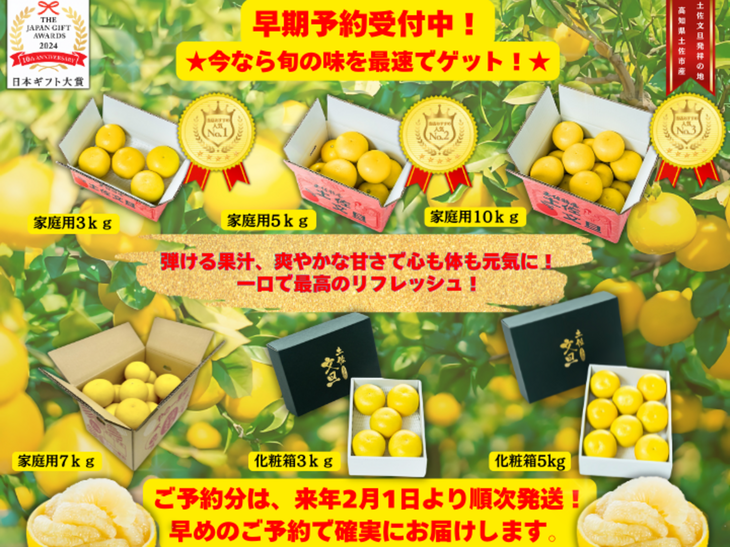 家庭用】土佐文旦 2L約20玉入（約10kg）: とさのさとアグリ