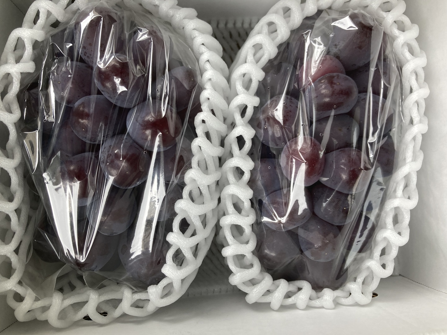 超希少新品種 家庭用 富士の輝き 2房入合計1.1キロ以上：山形県