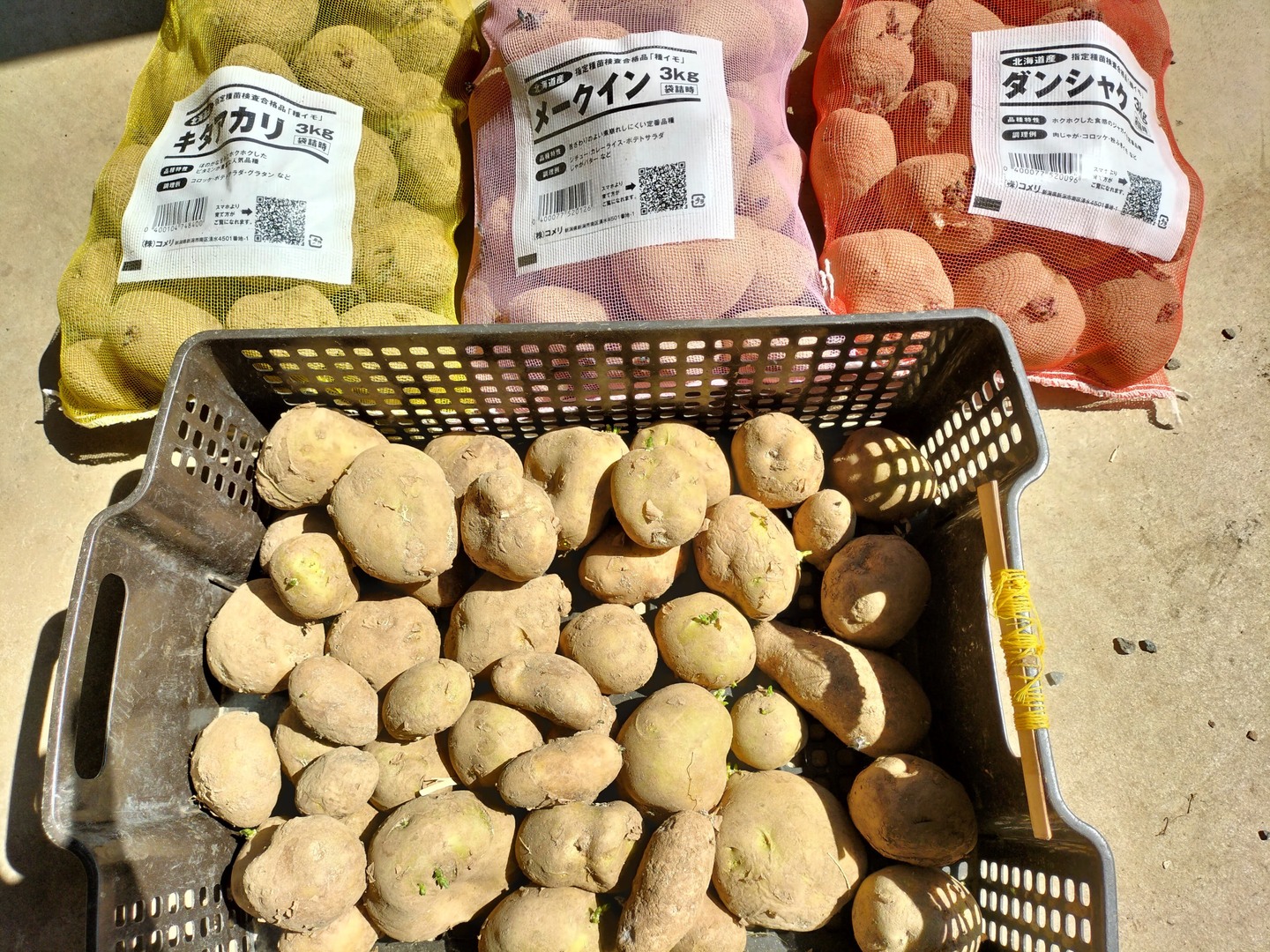 自然栽培】旬の新じゃがいも 3Kg：山梨県産のその他じゃがいも