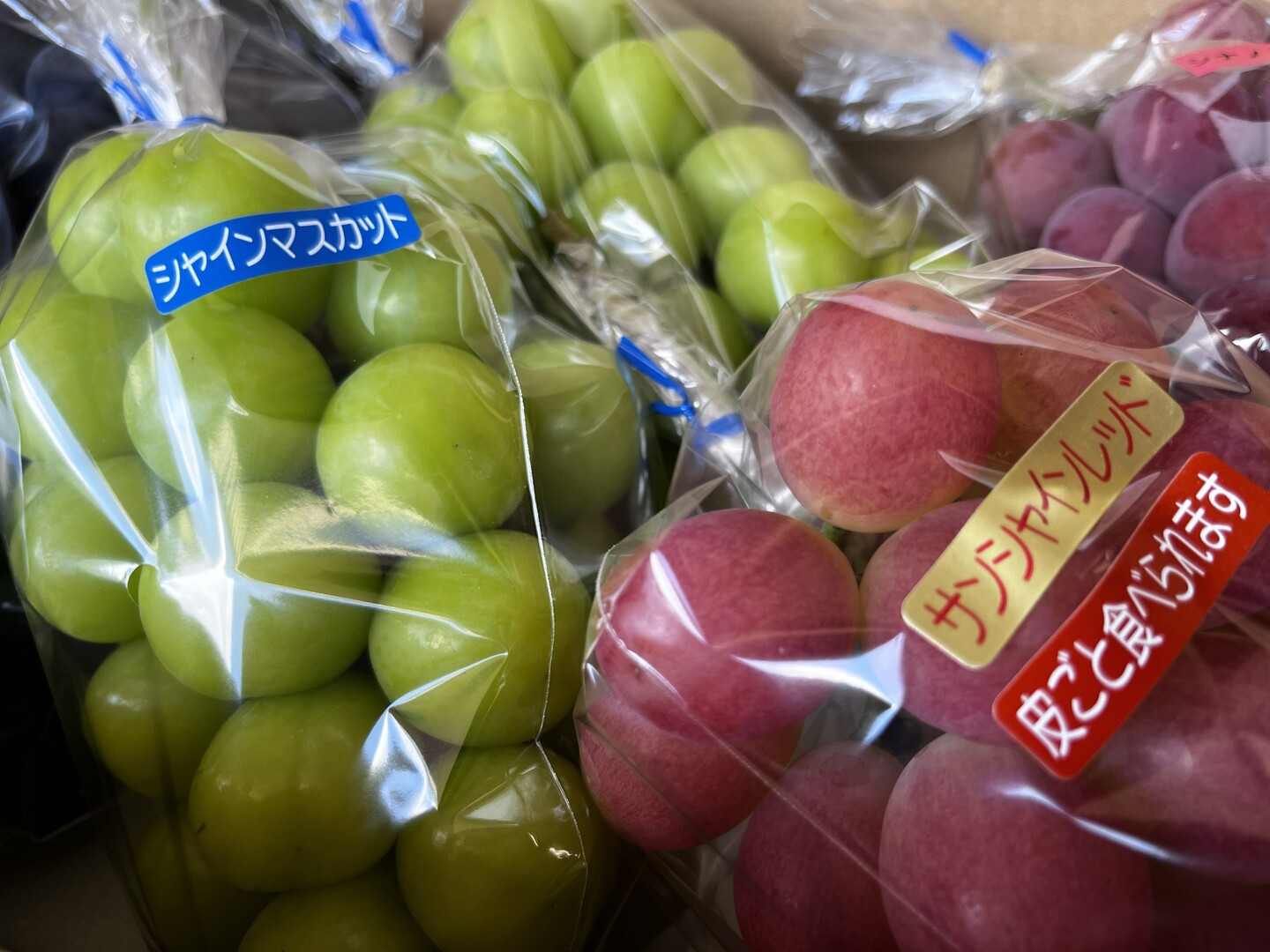 数量限定】山梨県が生んだ赤い衝撃『サンシャインレッド』（ご家庭用
