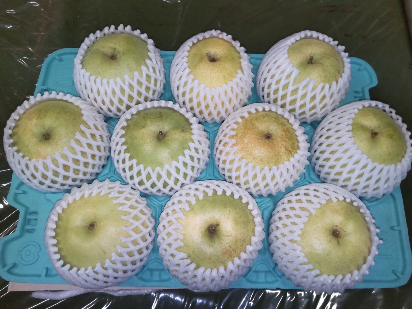 5Lサイズ】かおり 5kg (10玉入)贈答用も◎：千葉県産のかおり｜食べ