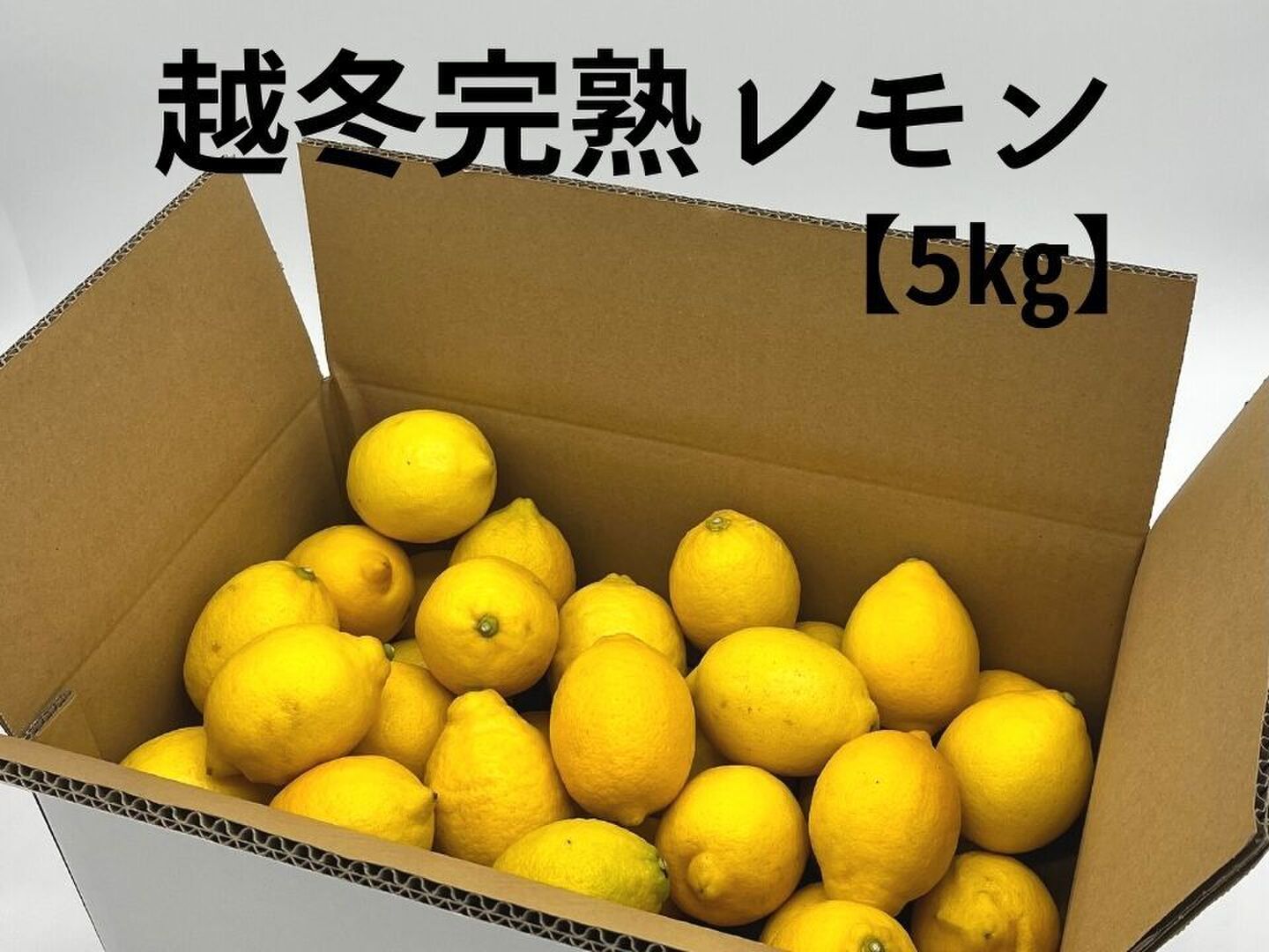 越冬完熟レモン 瀬戸内レモン 訳なし L・Mサイズ 5㎏：愛媛県産の