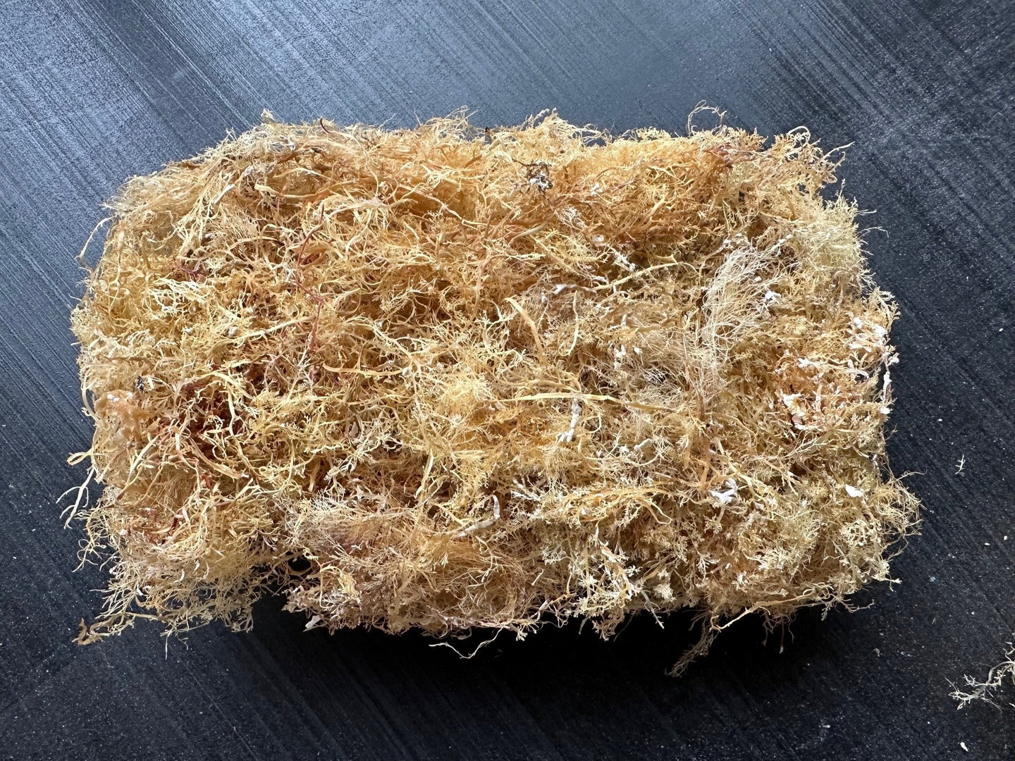 晒し天草1000g 晒し天草、普通品（家庭用テングサ）／70グラム 天草、心太：静岡県