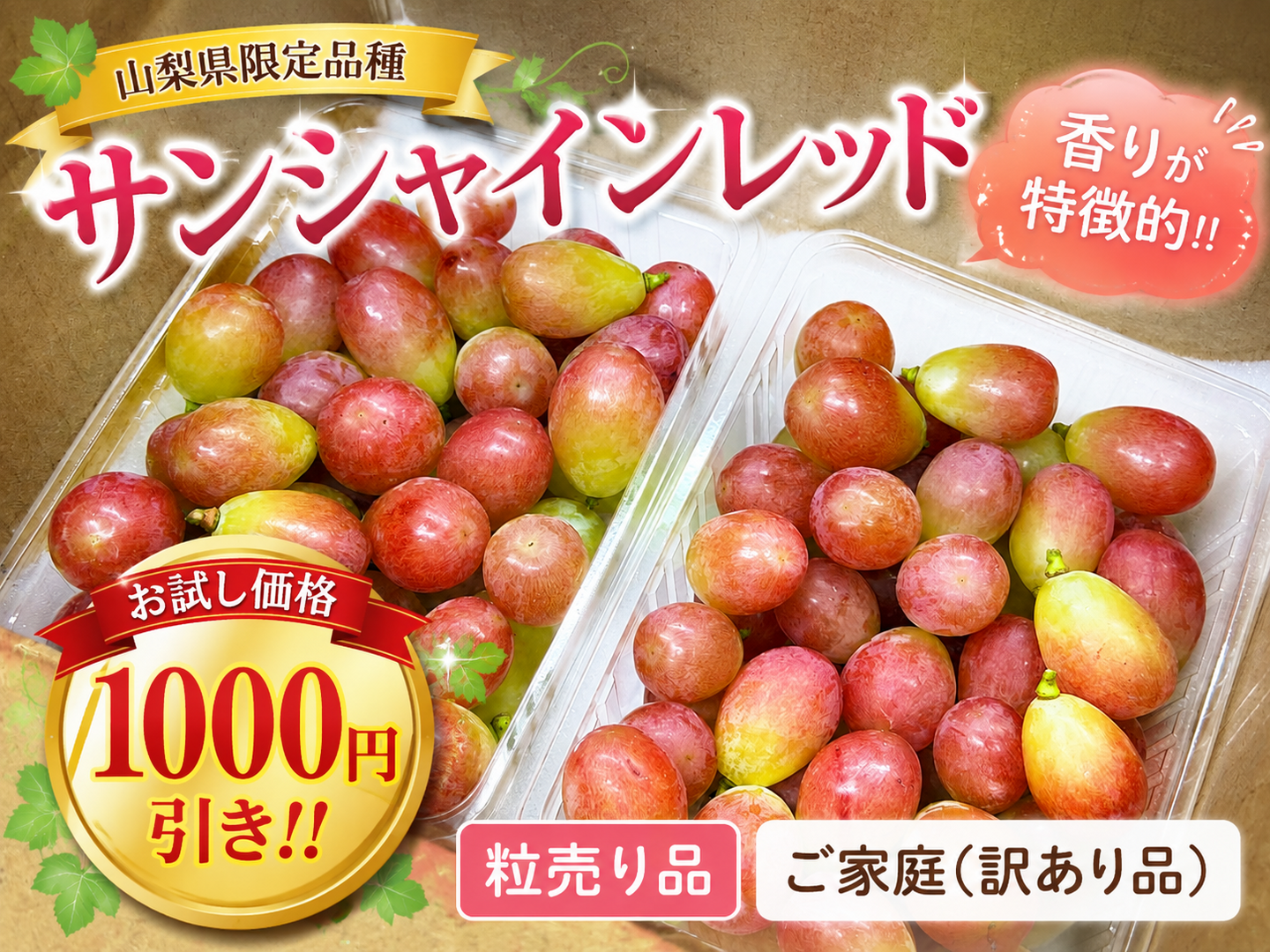 お試し価格1000円値引き【サンシャインレッド】ご家庭用(訳あり品) 粒