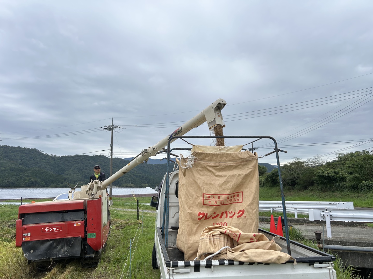 2026年新米コシヒカリ20kg玄米予約販売です！：福井県産のコシヒカリ
