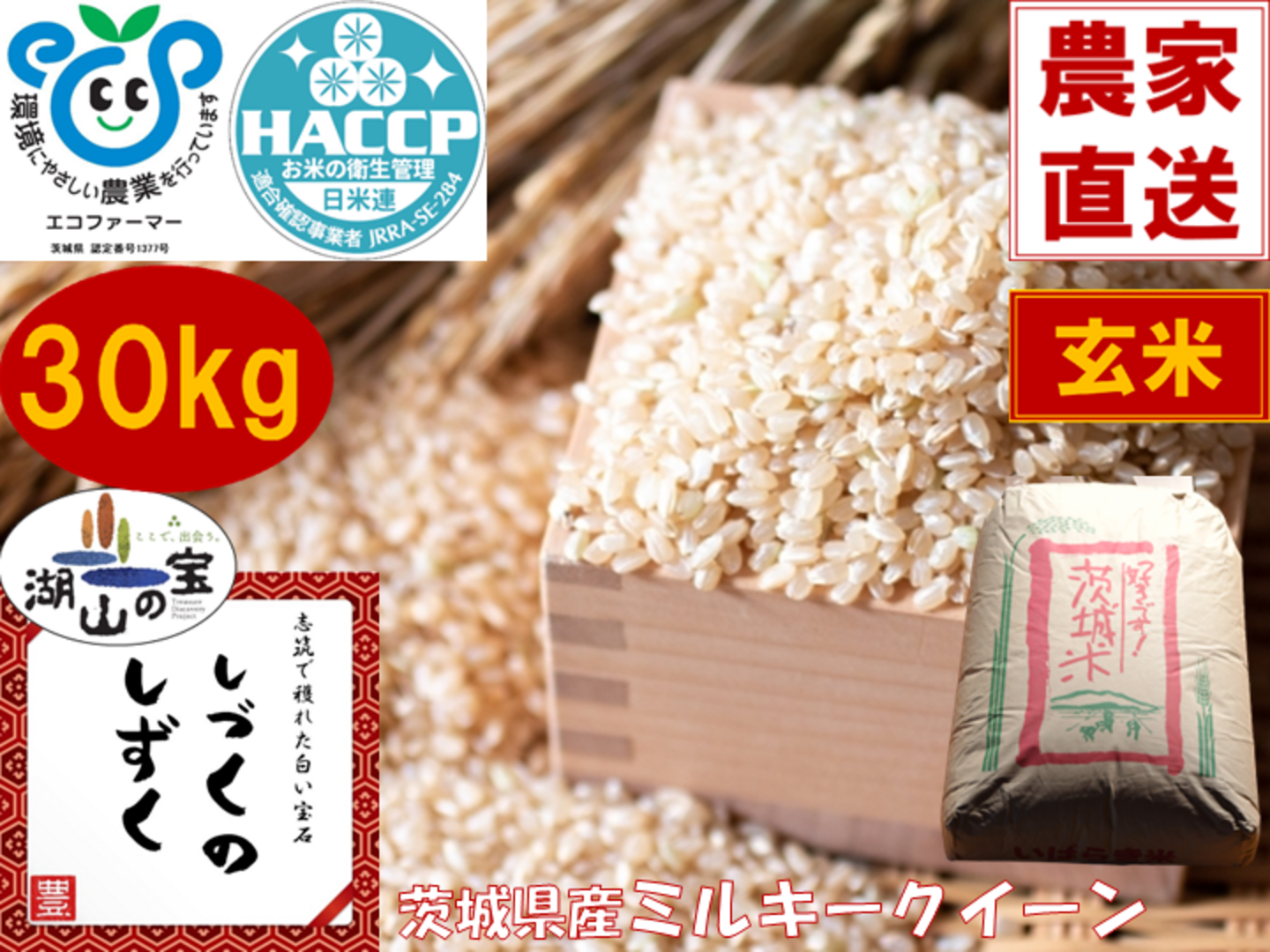 数量限定！！令和4年産『ミルキークイーン』玄米30㎏もちもち食感が人気です！ 令和4年ミルキークイーン玄米30KG
