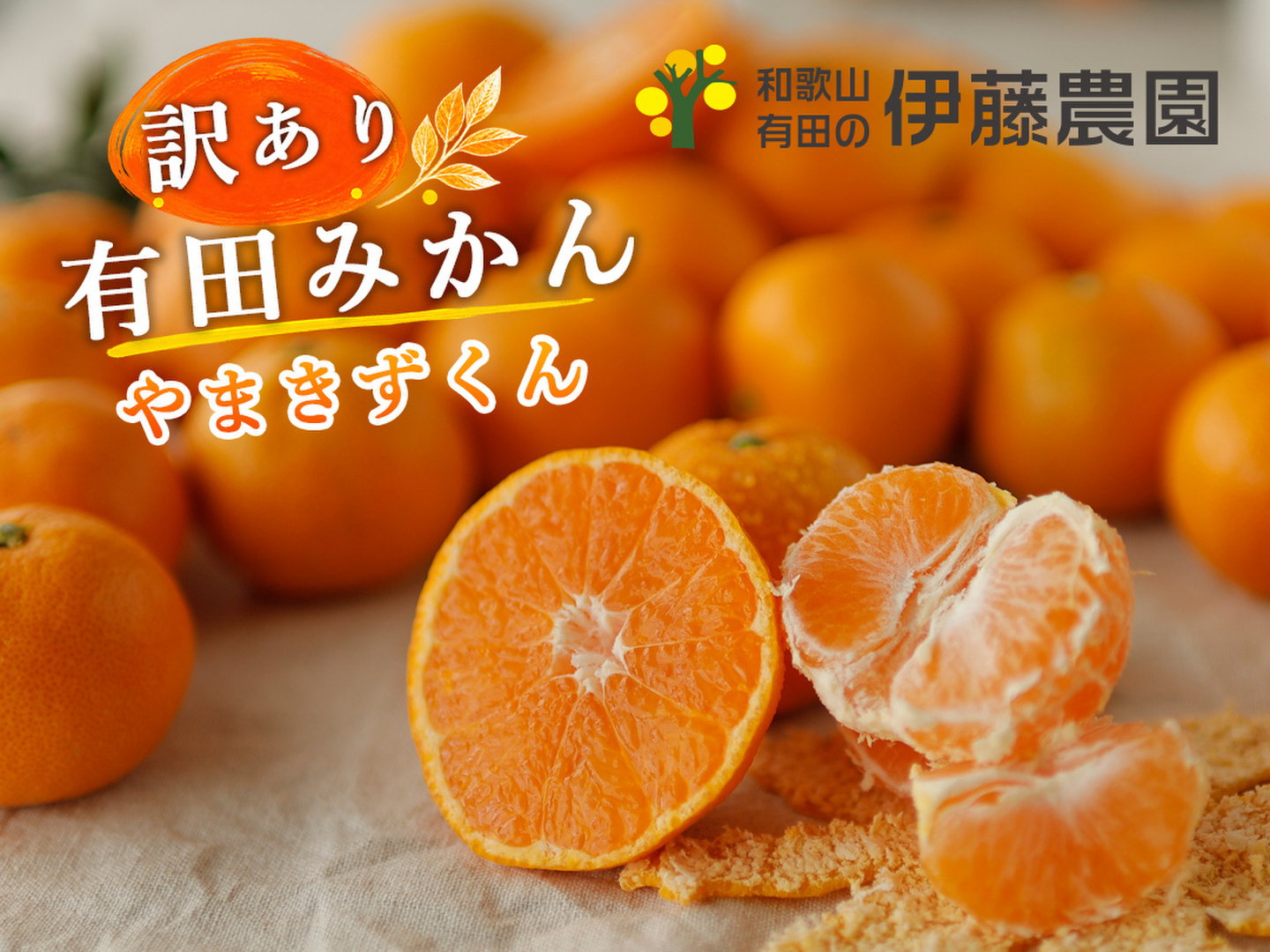 10月中旬より順次発送予定】有田みかん10kg (ミックスサイズ 2S～3L