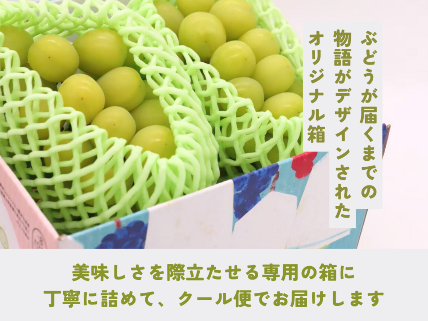 長野県産品　シャインマスカット　約4kg分   【クール便対応】 ギフト》シャインマスカット（2〜3房）長野県須坂市産・クール