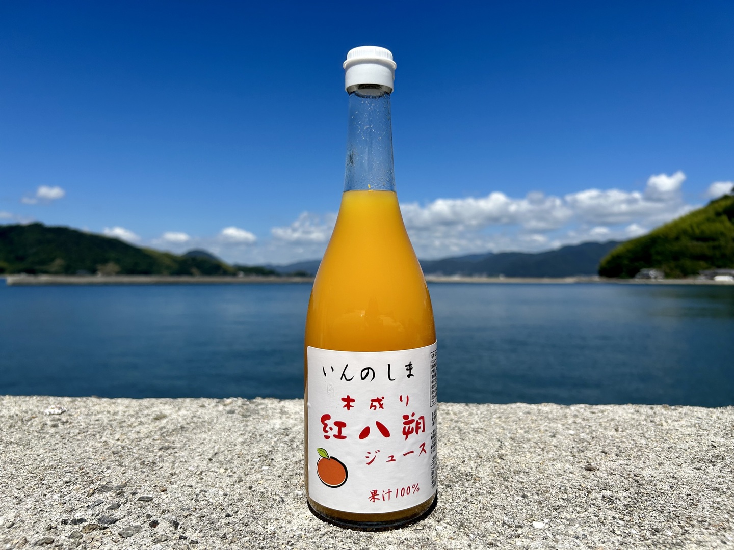 中国　祭紅釉水盂　木箱入　送料込み1211 866eca427a66d1295ccb3676576142