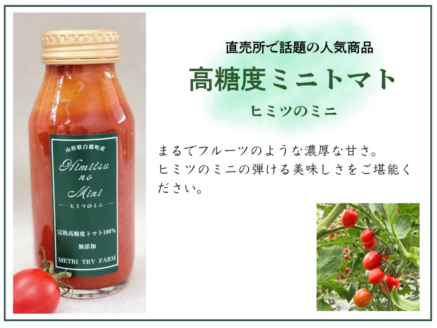 お得な8本セット！トマトジュース飲み比べ☆アマテイ☆ヒミツのミニ