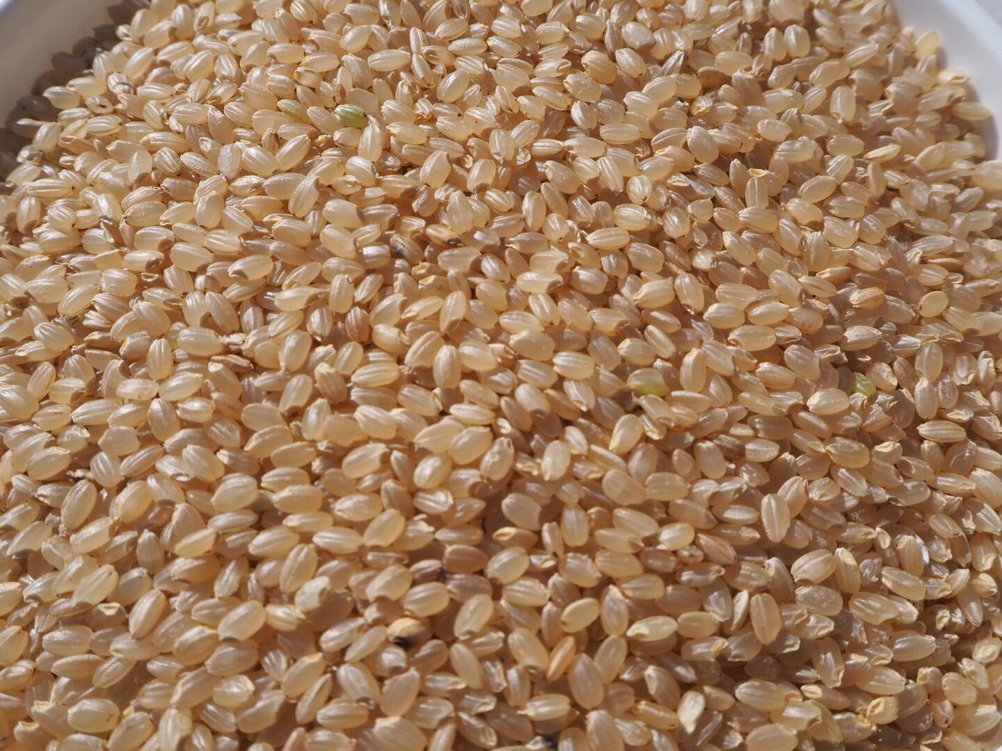 8820f26725ac422ddb6f441a7d6b70