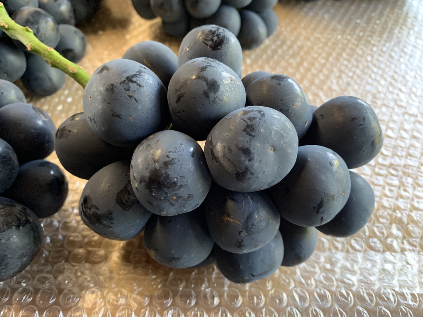 (粒売り)信州上田産ナガノパープル 約2kg 濃厚な甘さ！信州・上田産 🍇ナガノパープル（ご家庭用・2kg）：長野県