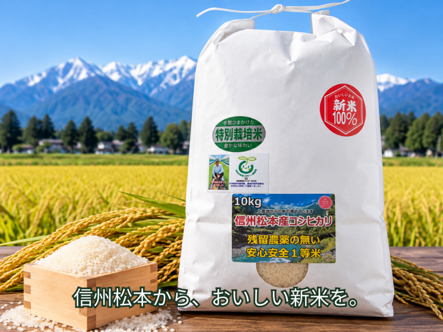 秋田米 10kg、コシヒカリ、ぽんちゃん本人確認済「プロフ説明文必読」 令和8年産】新米10kg！信州松本産コシヒカリ｜特別栽培米・白米：長野